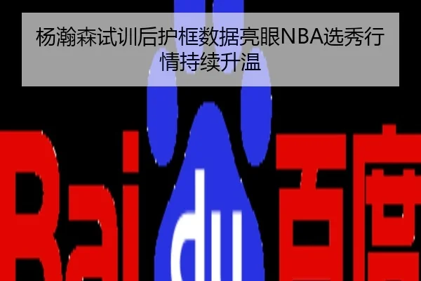 杨瀚森试训后护框数据亮眼NBA选秀行情持续升温